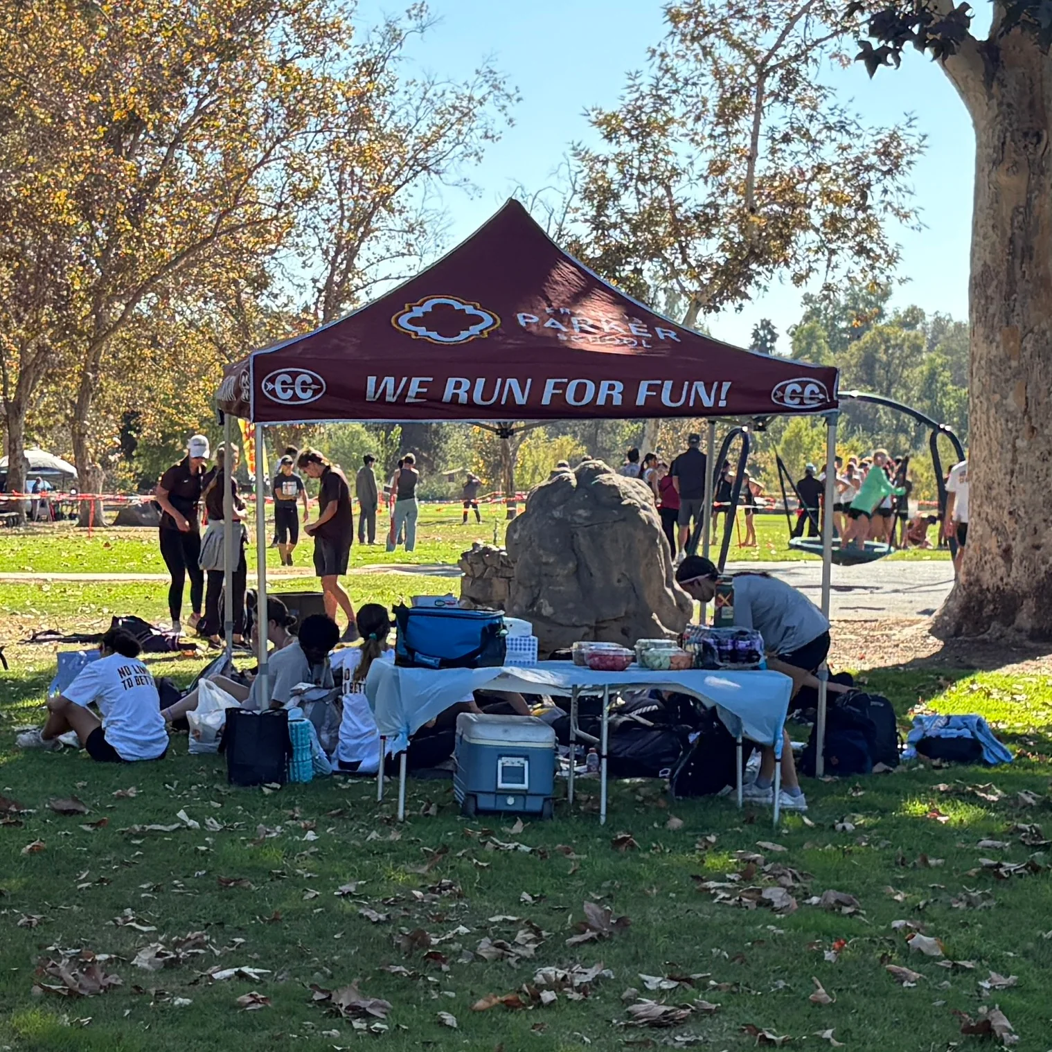 Pop-Up Canopy Tent with Your Graphics - Image 14